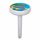 TERMOMETRO FLOTANTE DIGITAL